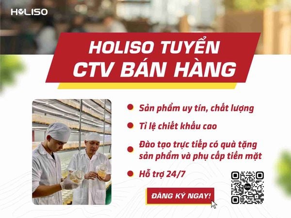 Holiso tuyển CTV bán hàng